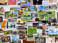 רכישת תמונות מקצועיות לבניית אתר אינטרנט